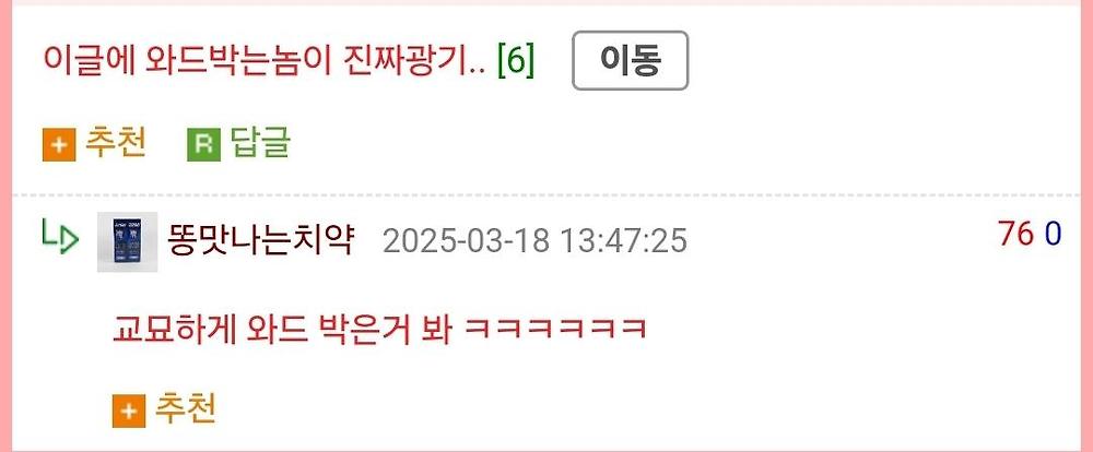 유명인 닮은 AV배우들