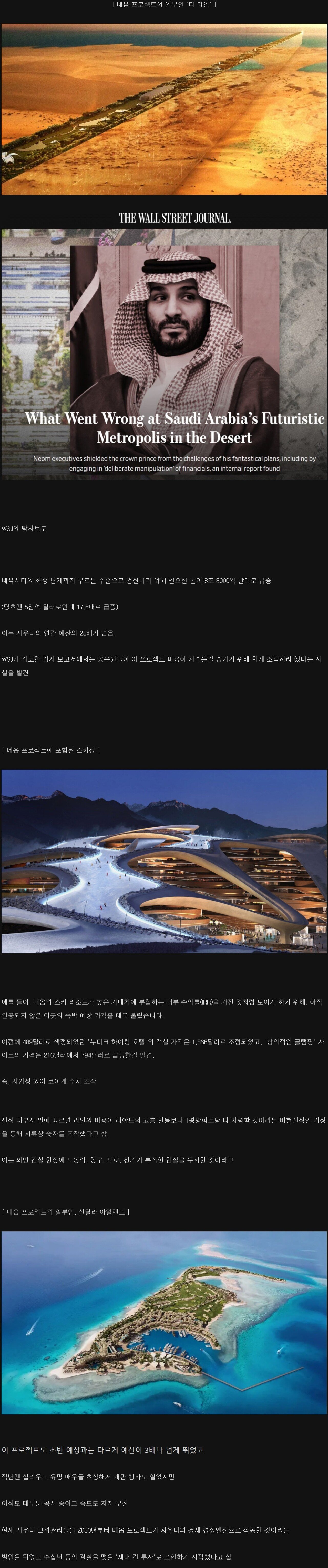 좆망각 보이는 사우디 네옴 프로젝트