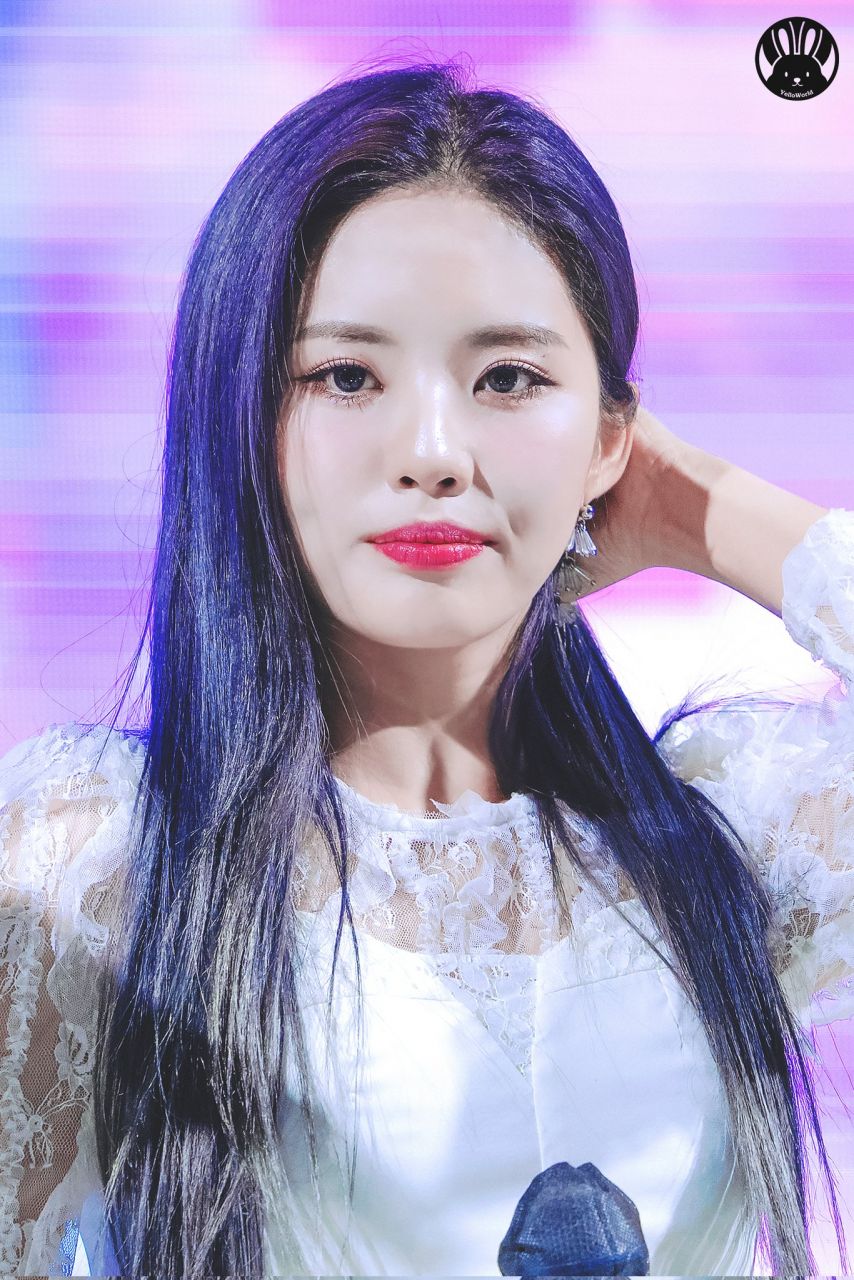 프로미스나인 지원