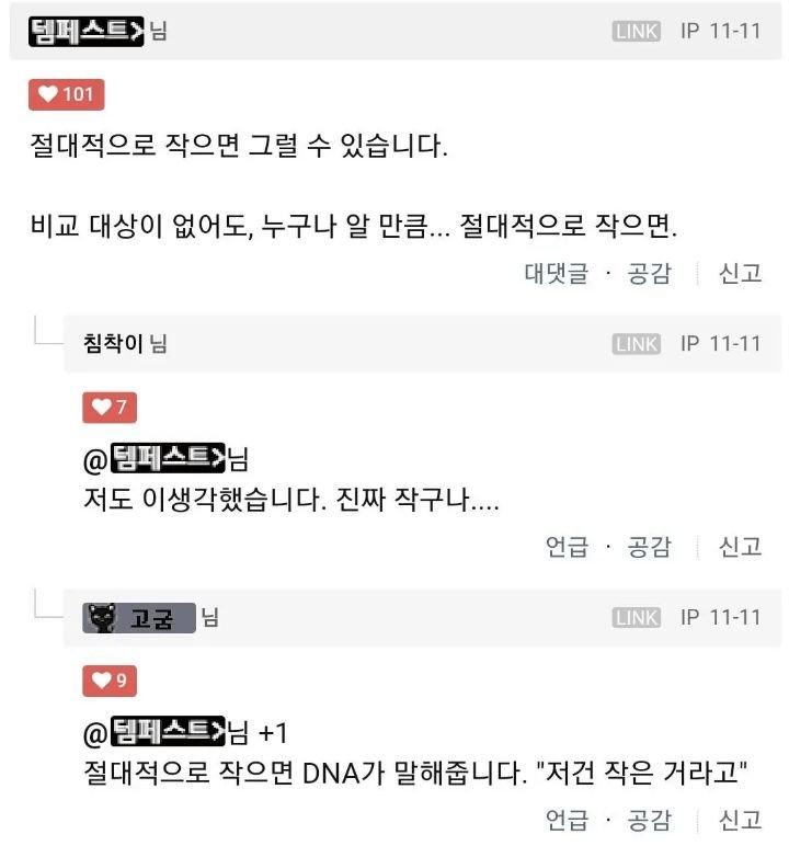 19) 와이프가 그러는데