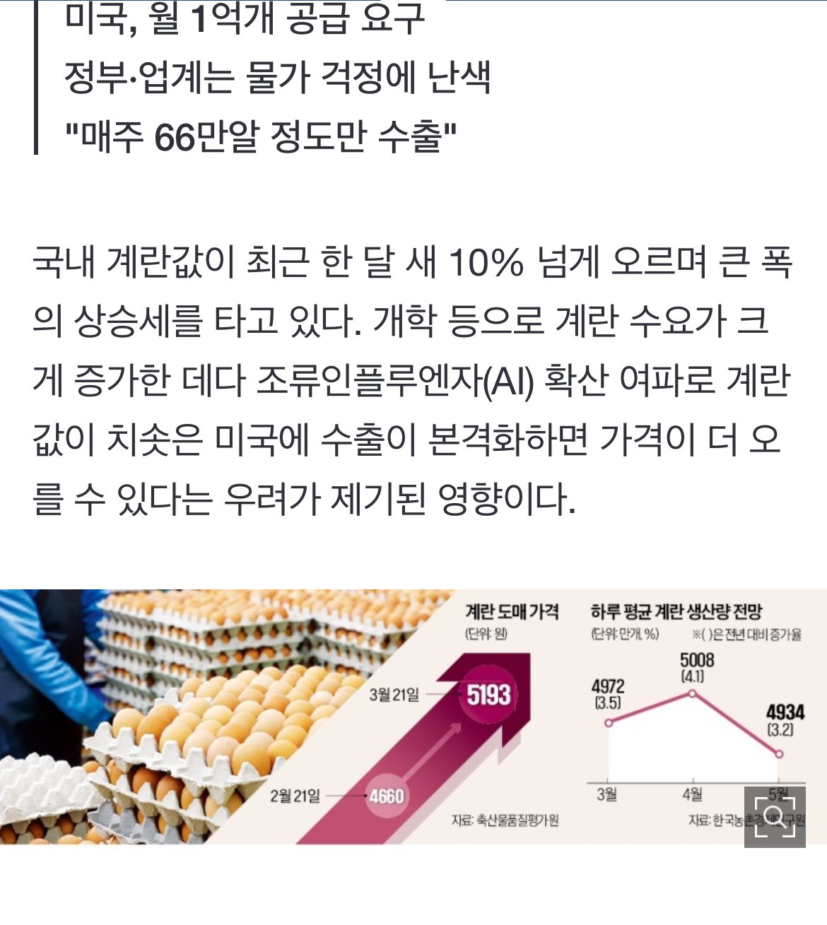 현재 미국이 한국에게 요구하는 달걀 수출량 ㅎㄷㄷㄷㄷㄷ