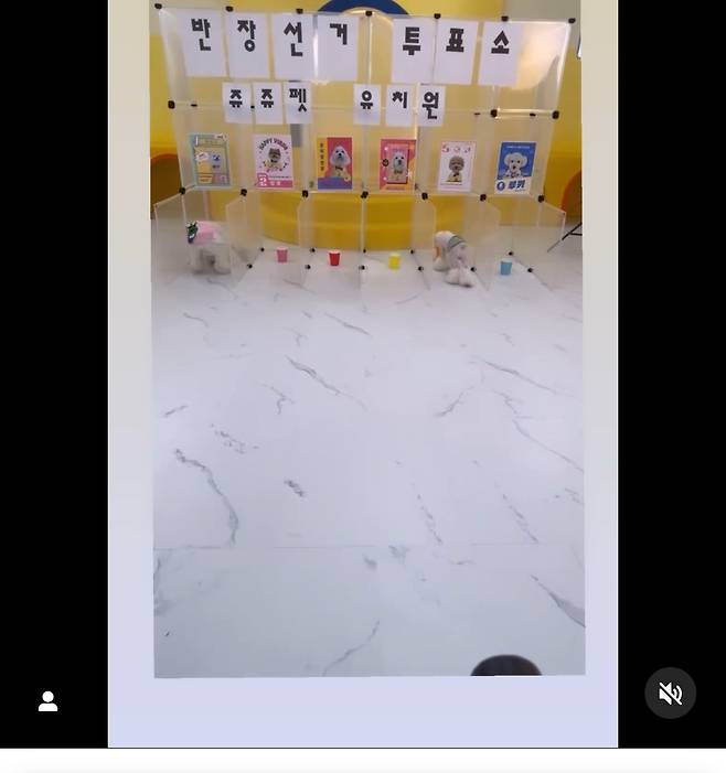 모르는 강아지 반장됬다고 카톡옴..