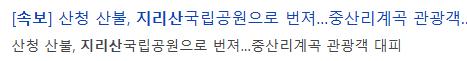 [속보] 산림청, 산불 재난 국가 위기경보 ‘심각’ 단계…전국 확대
