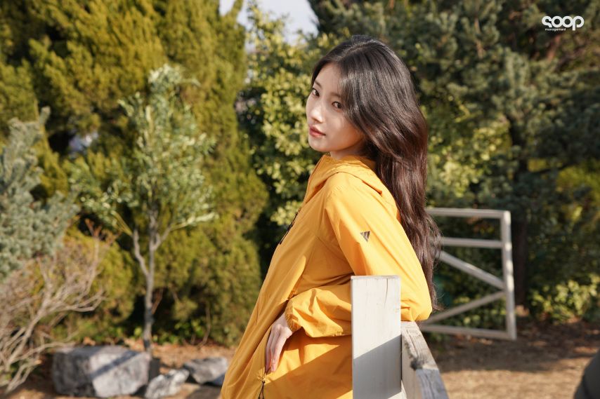 수지 K