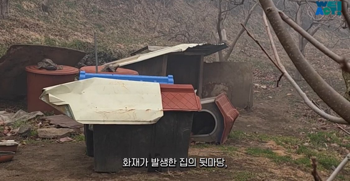 산불로 인해 목줄 묶인 개들은 그대로 죽어가는 중
