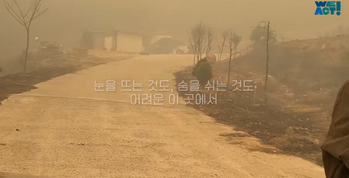 산불로 인해 목줄 묶인 개들은 그대로 죽어가는 중