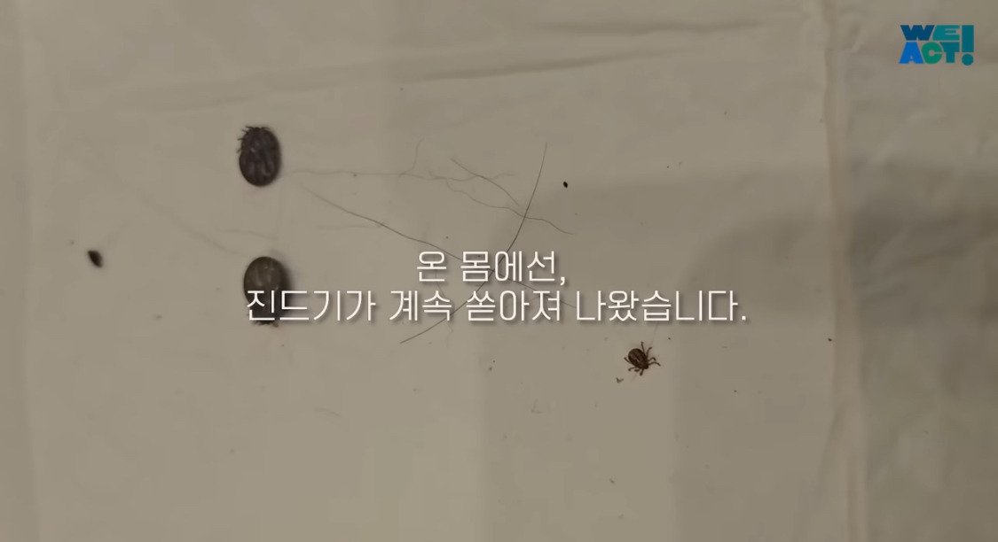 산불로 인해 목줄 묶인 개들은 그대로 죽어가는 중