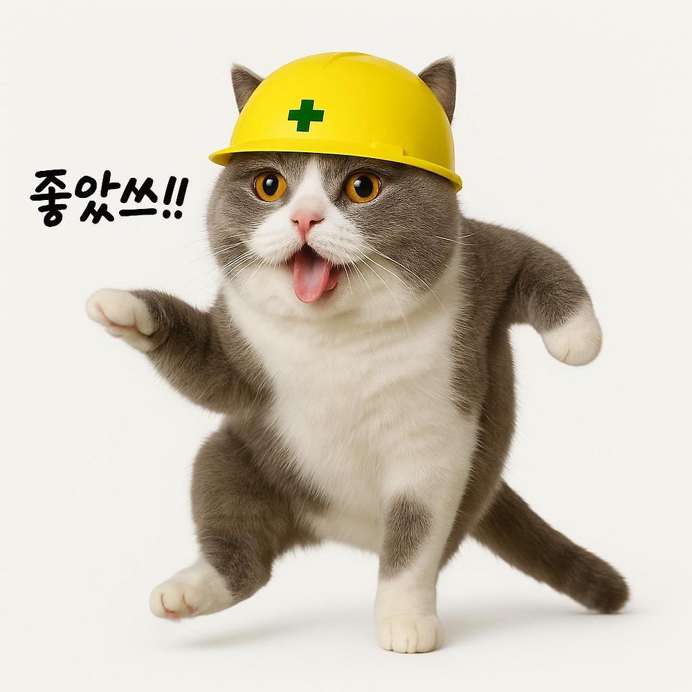 좋았쓰