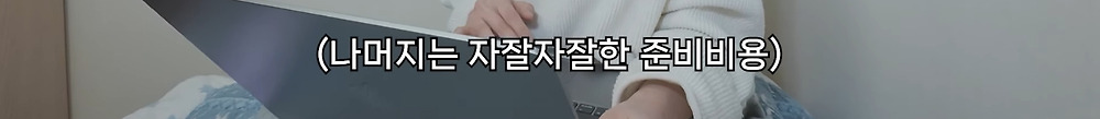 22개국 여행한 유튜버의 총 경비