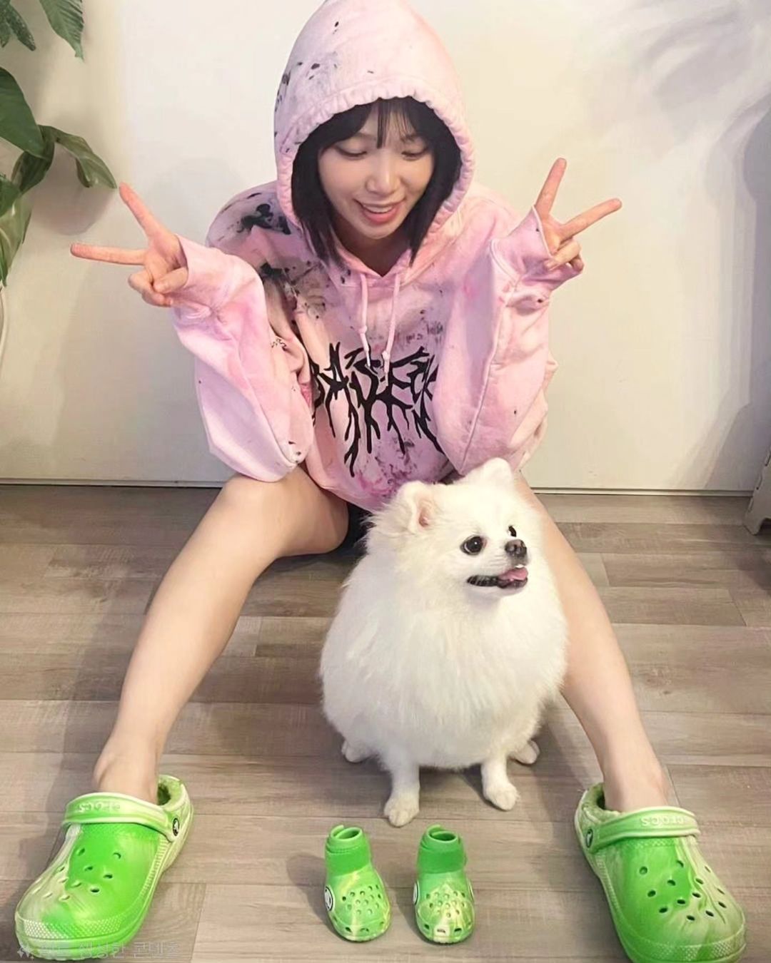 르세라핌 채원