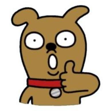 피팅모델 최수현