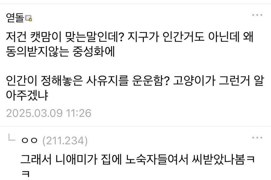 논리적인 캣맘 등장..