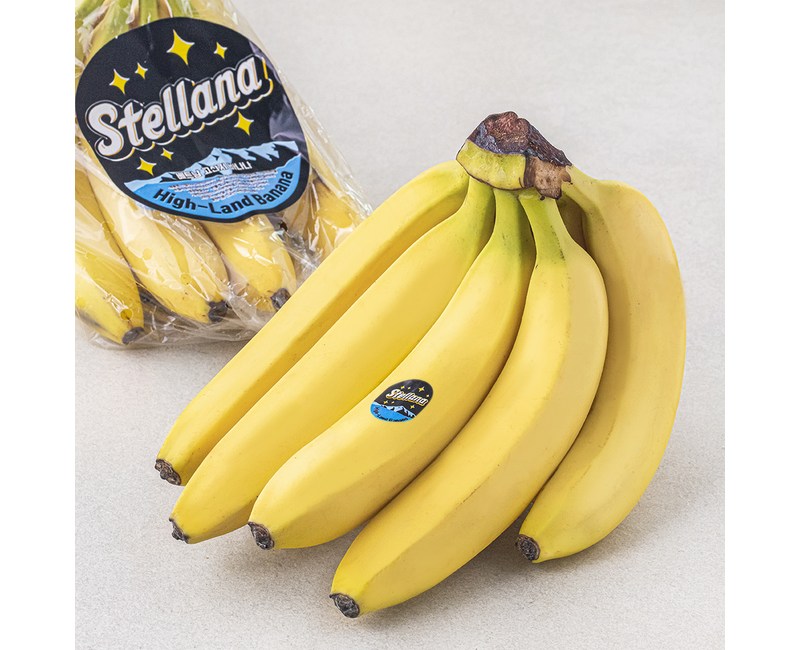 스텔라나 베트남산 바나나, 1kg, 1개