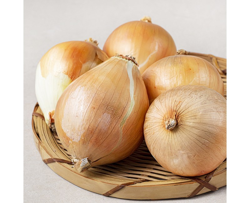 국내산 친환경 양파, 800g, 1개