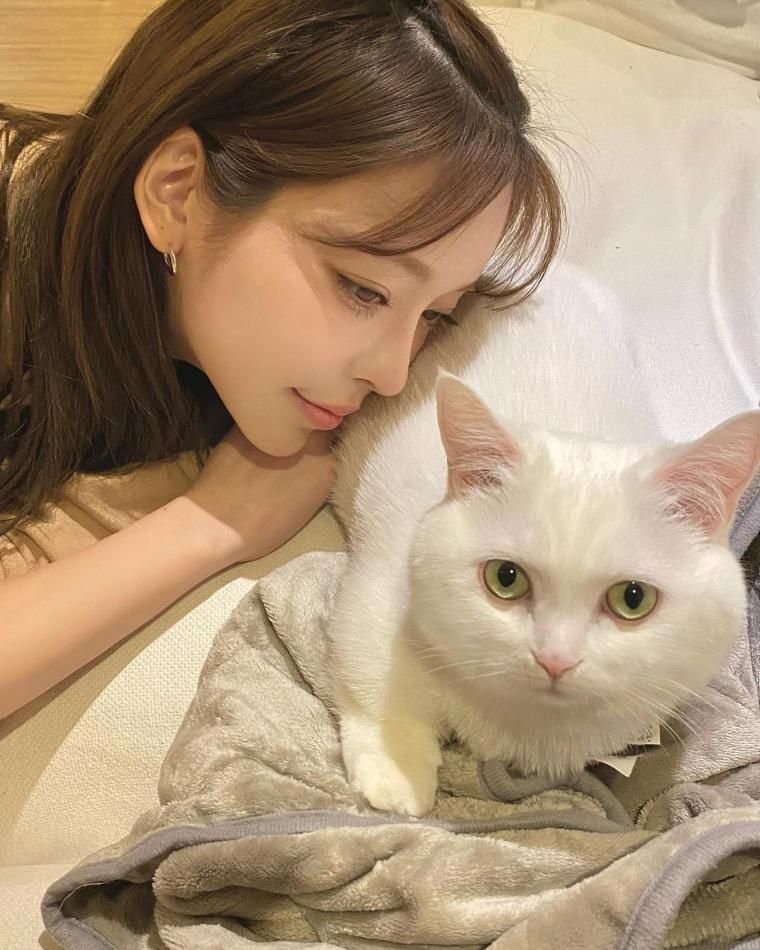 피팅모델 강태리