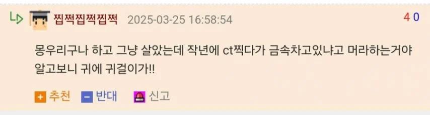 17년 만에 발견한 금