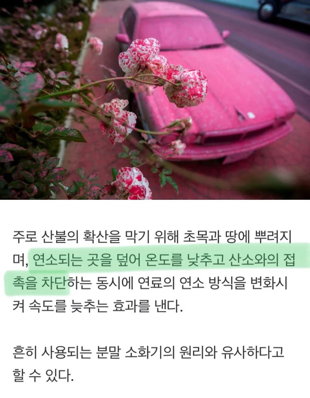 미국 소방대가 쓰는 불 끄는 댄스파우더