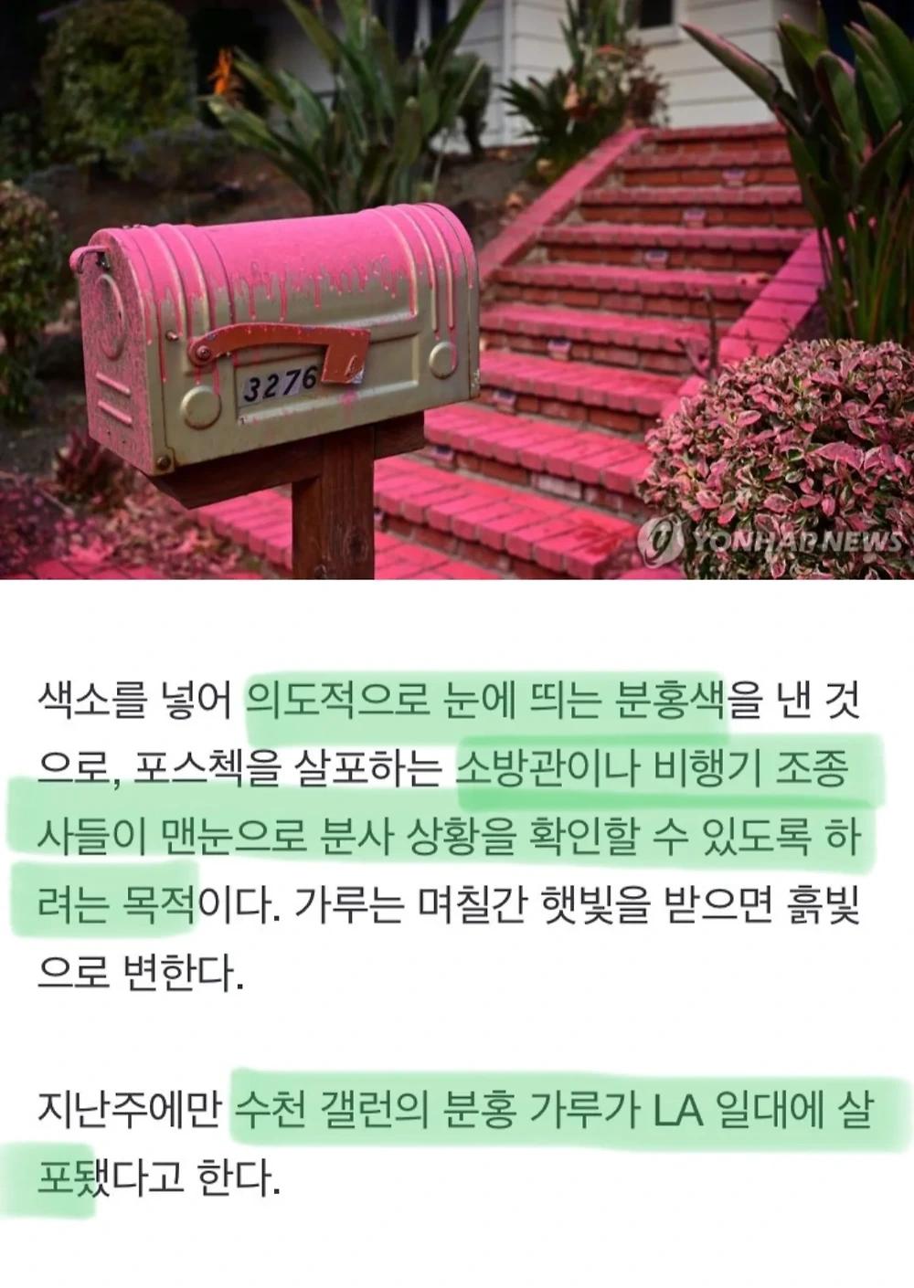 미국 소방대가 쓰는 불 끄는 댄스파우더