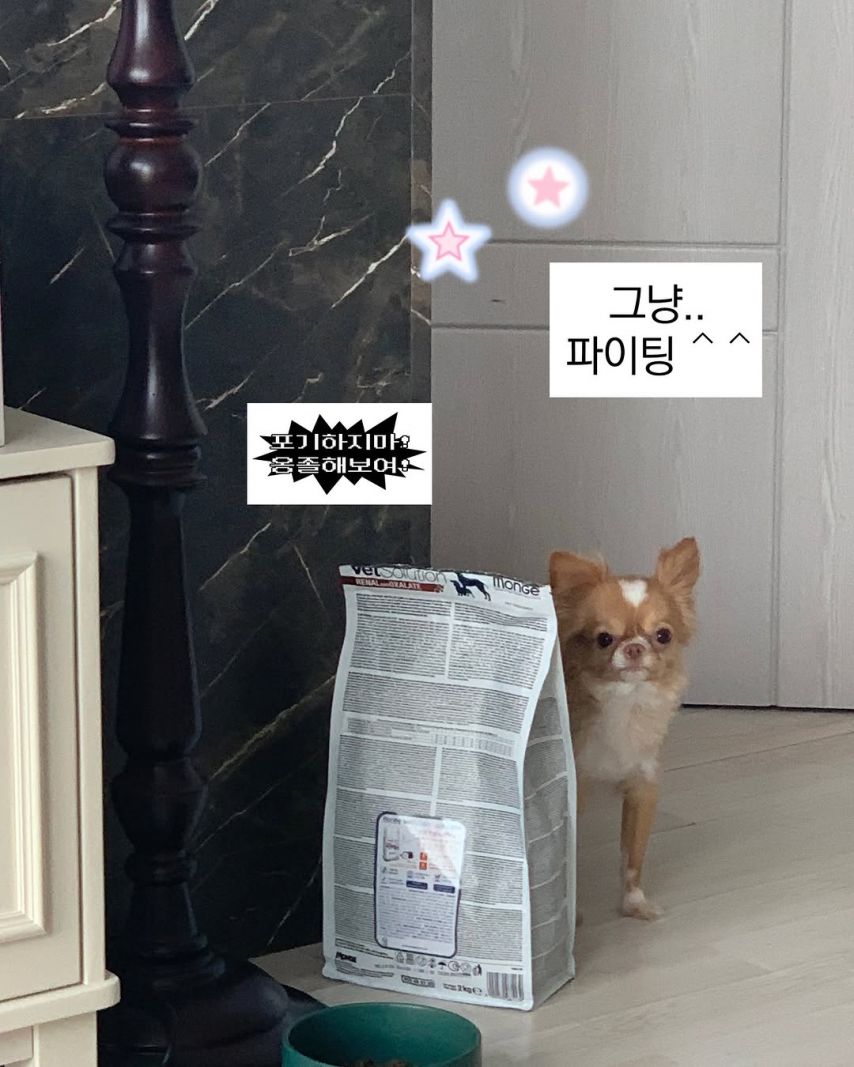예원 (김예원) ig 7개월만에 내 유튭 촬영을 했다아...!