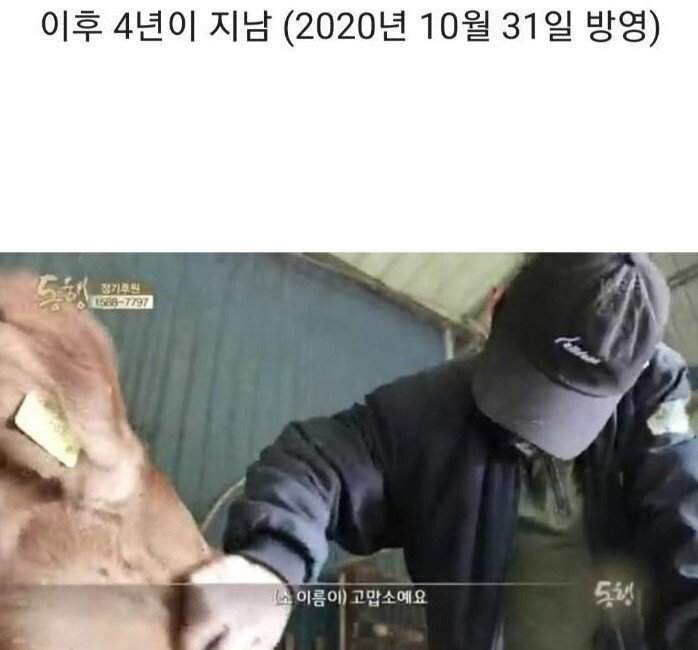 4년전 방송 되었던 뇌성마비 아버지와 9살 딸.. 근황