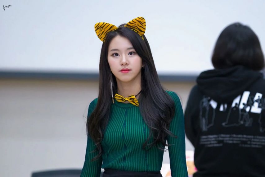 트와이스 채영