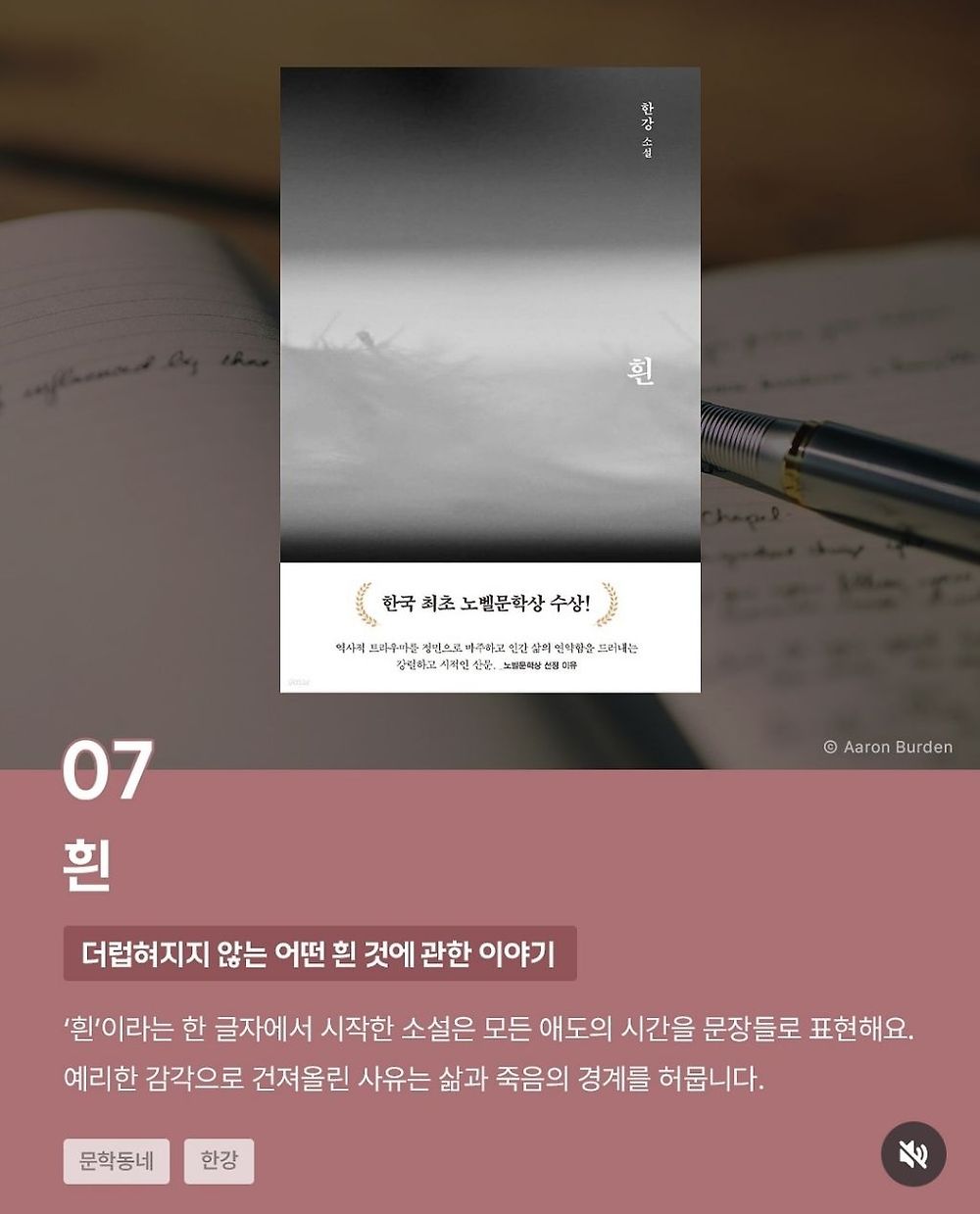 다독왕 카리나가 추천하는 책