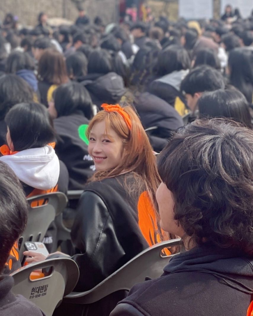 시그니처 채솔 인스타