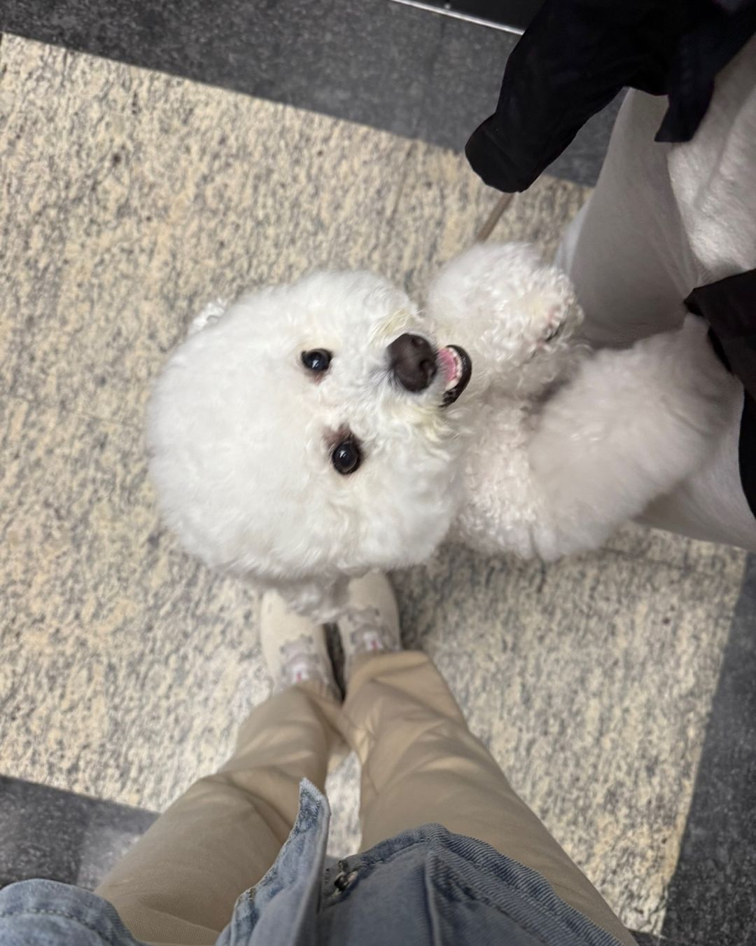 아이브 유진