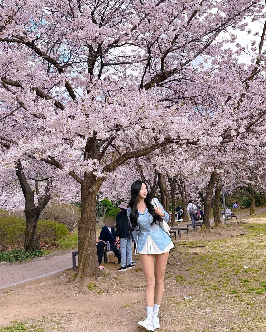 하빈