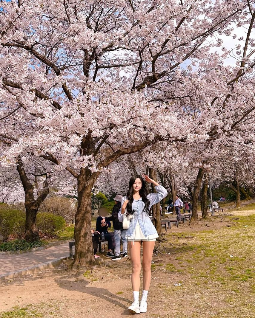 하빈