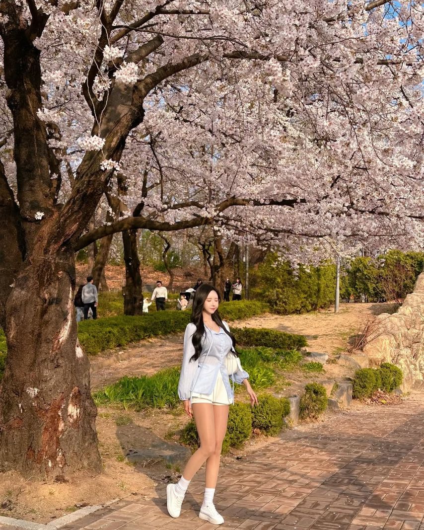 하빈