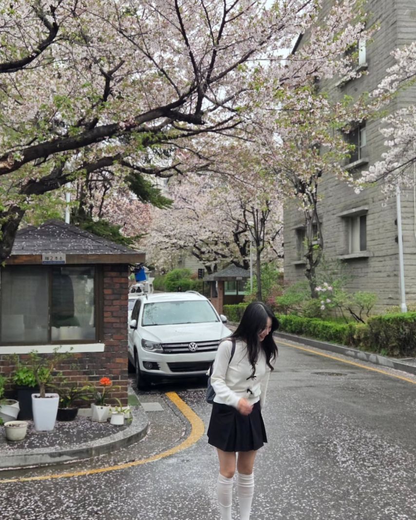 주연