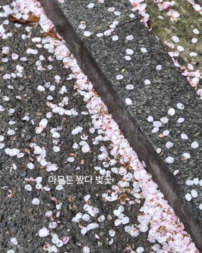 주연