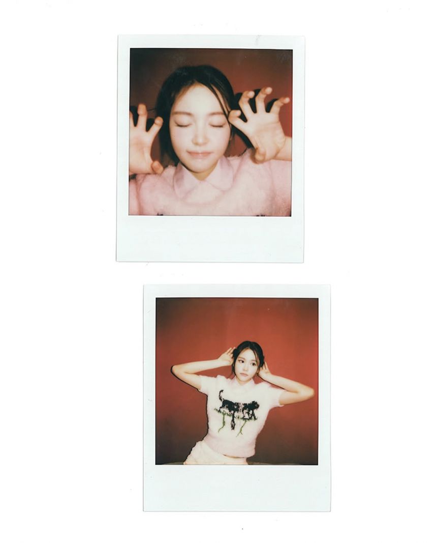 하츠투하츠