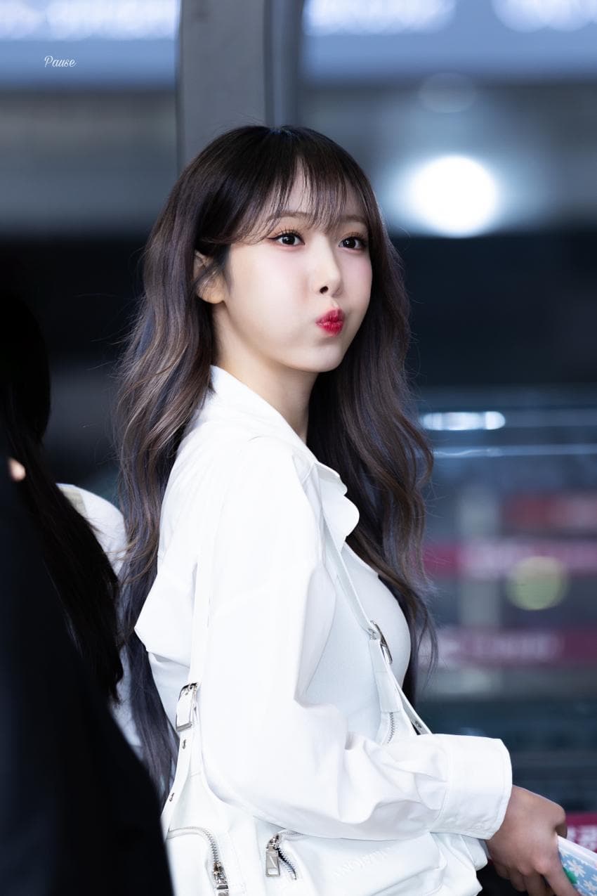 비비지 신비
