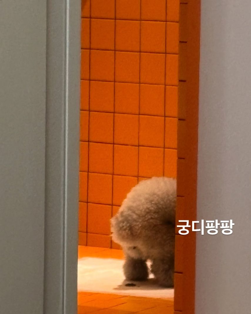 배우 나나 (전 애프터스쿨) SNS