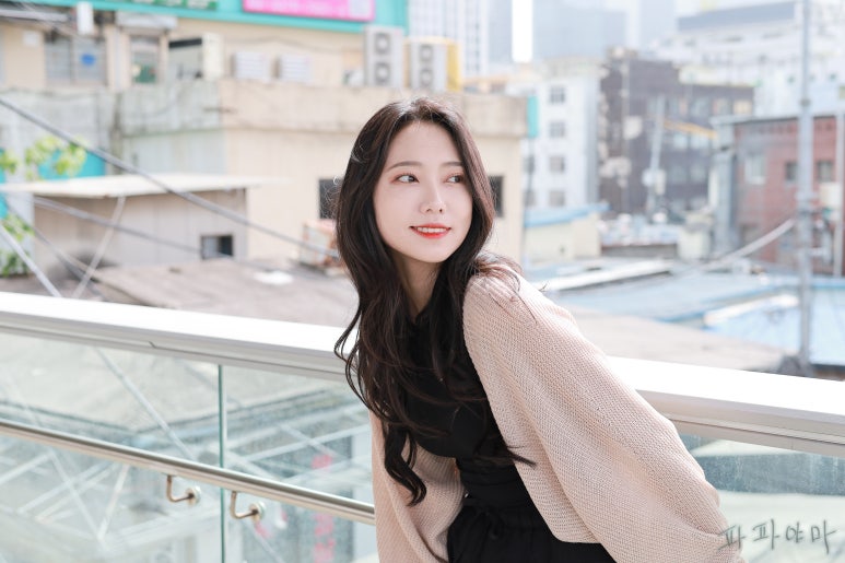 모델 수아