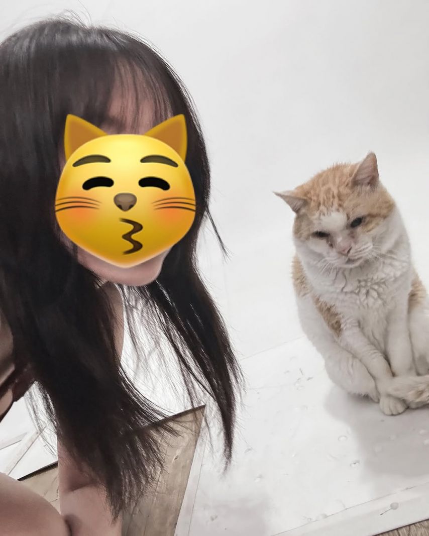 하지원