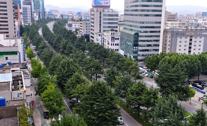 대구의 흔한 도로들
