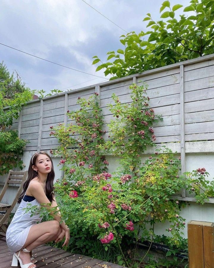 르세라핌 사쿠라