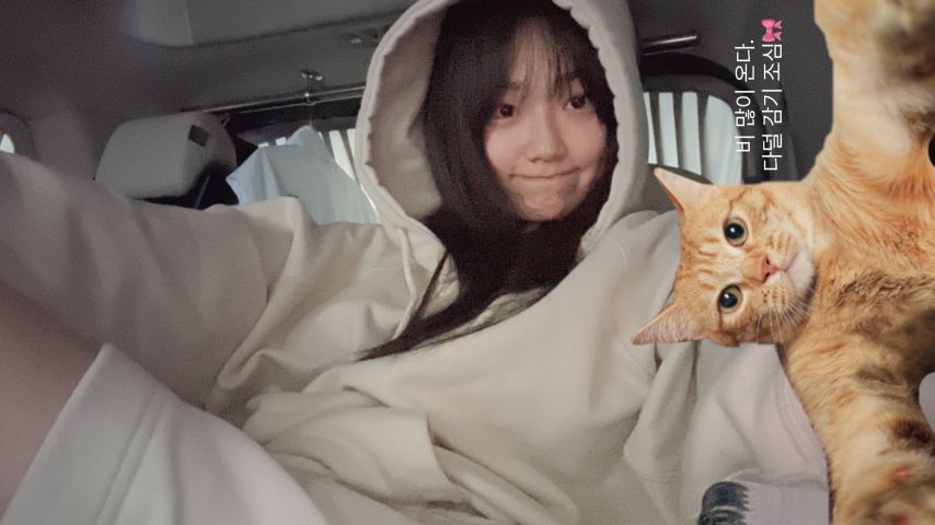 강미나