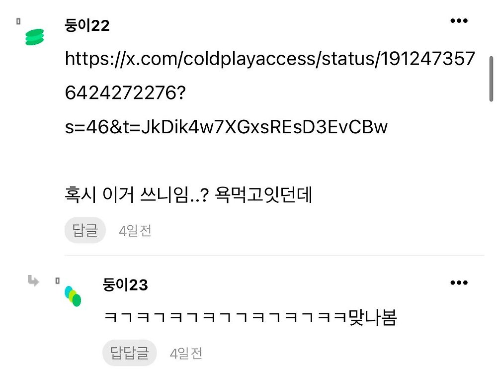 콜드플레이 콘서트 목마 민폐녀 능지 수준