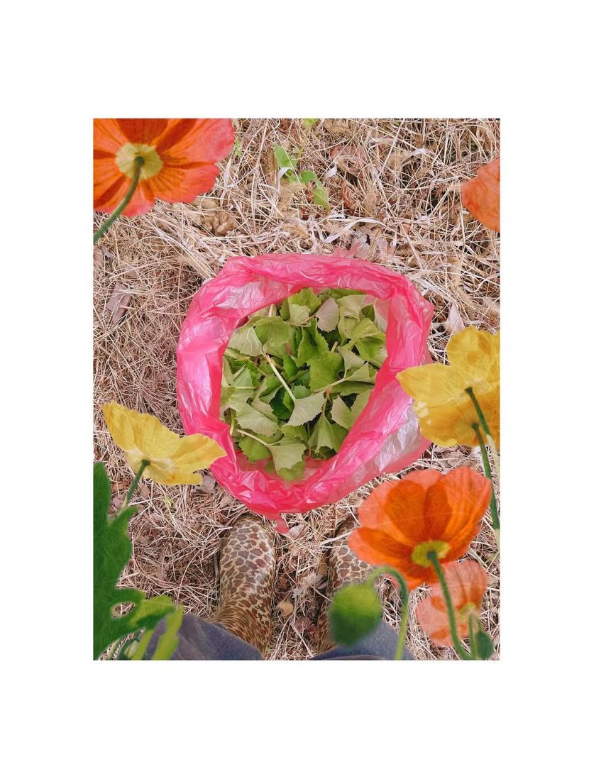 김향기 ig 프레임