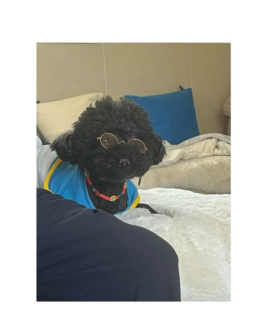 김향기 ig 프레임