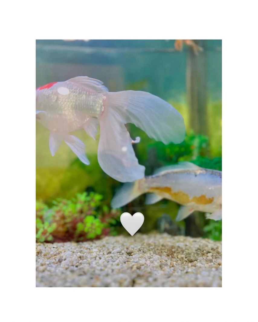 김향기 ig 프레임