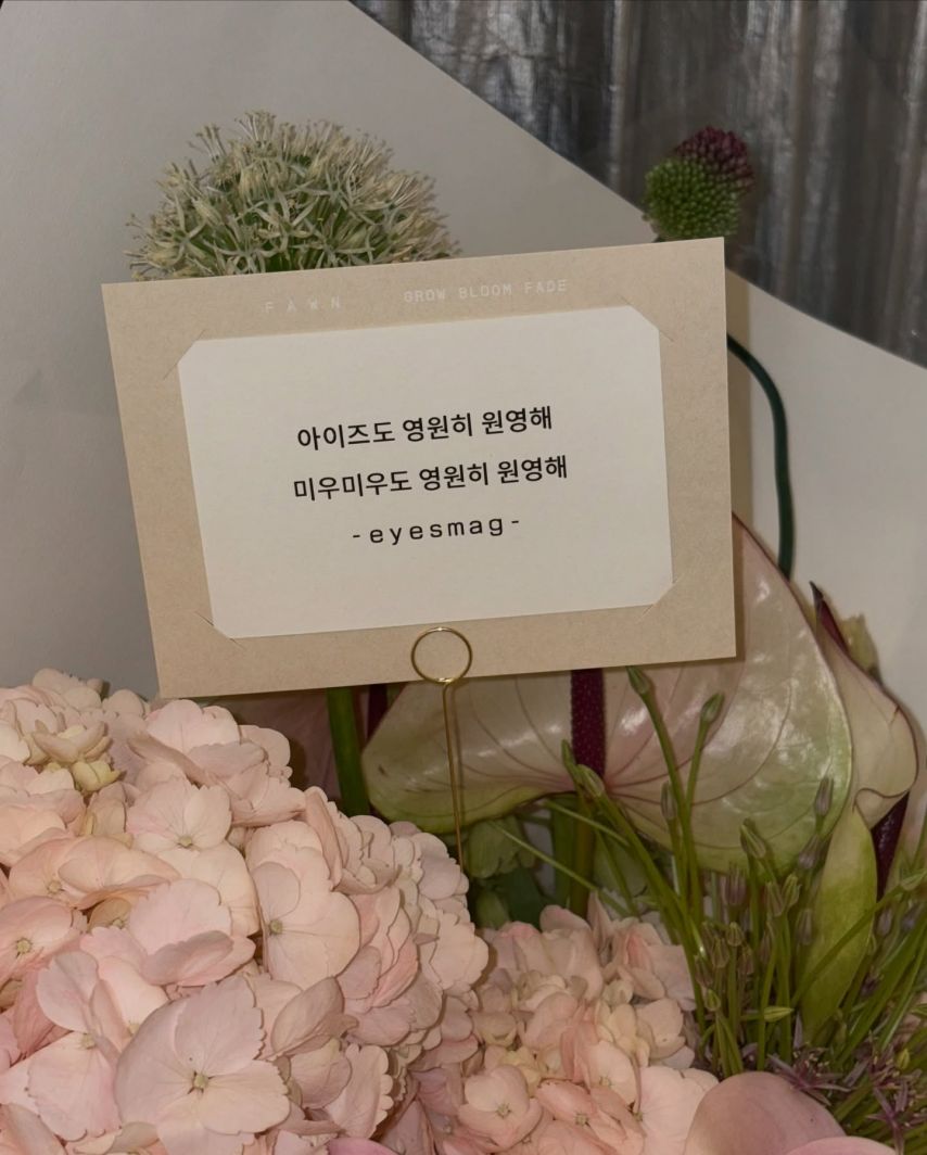 아이브 장원영