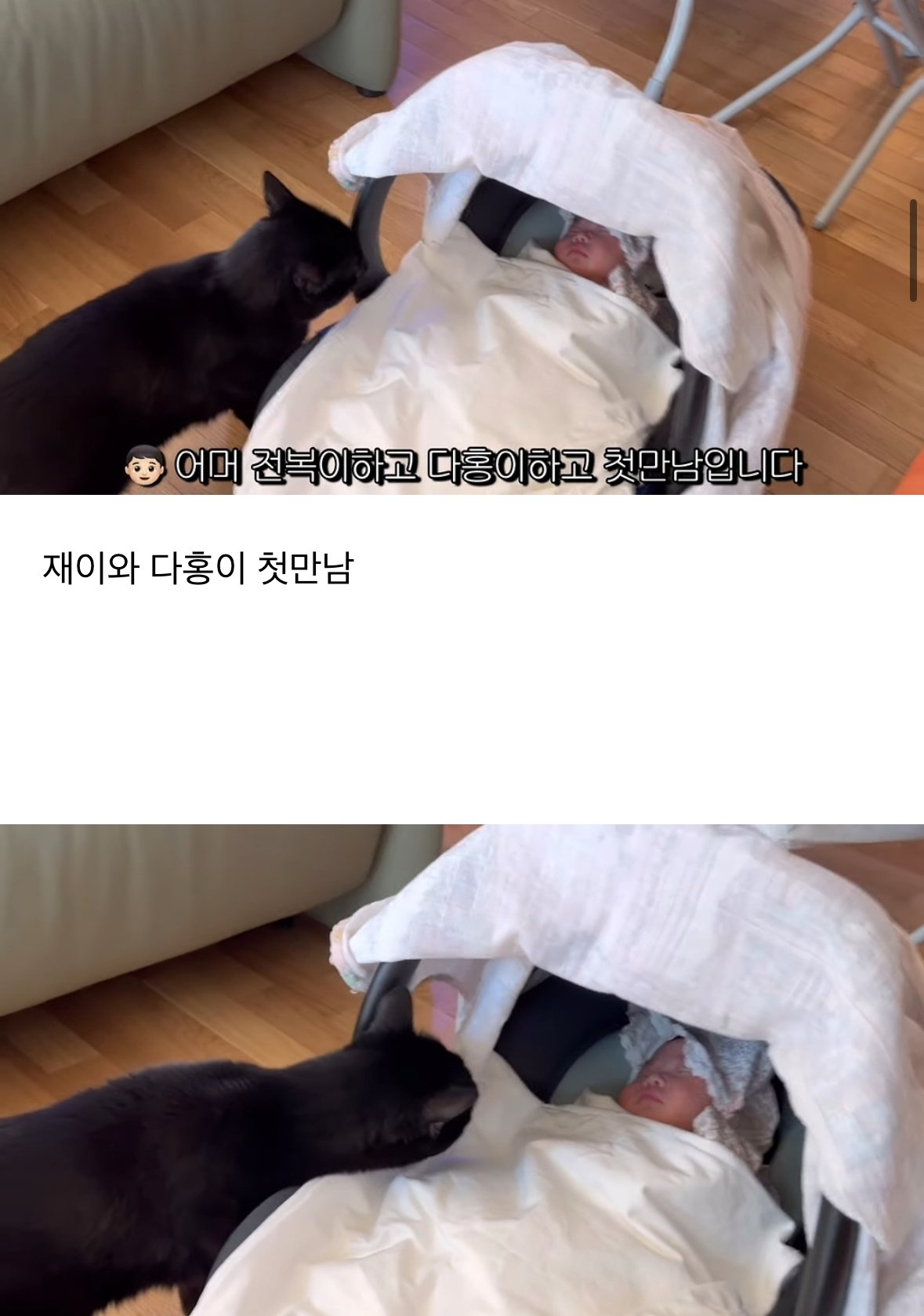 이제 네 식구가 된 박수홍집