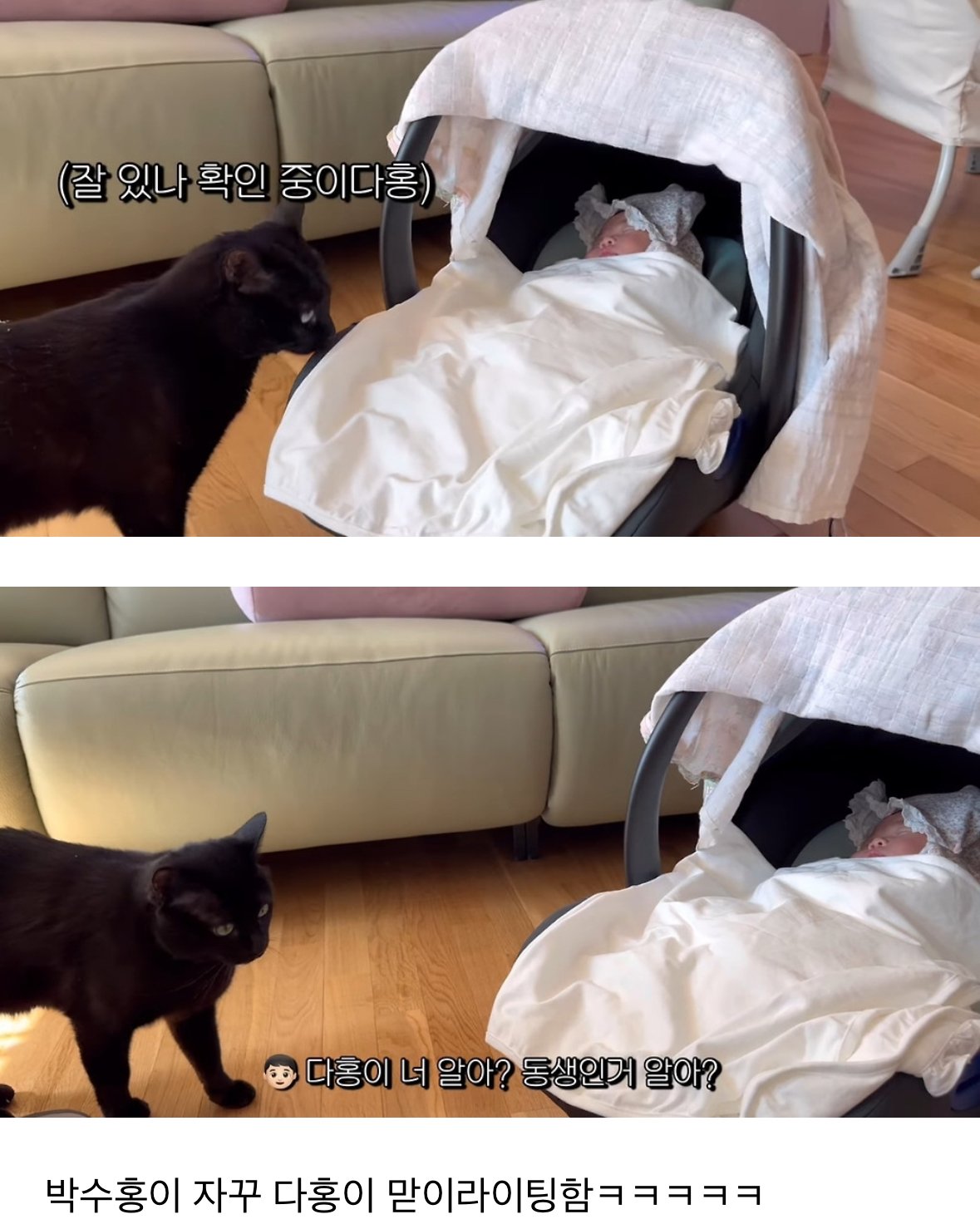 이제 네 식구가 된 박수홍집