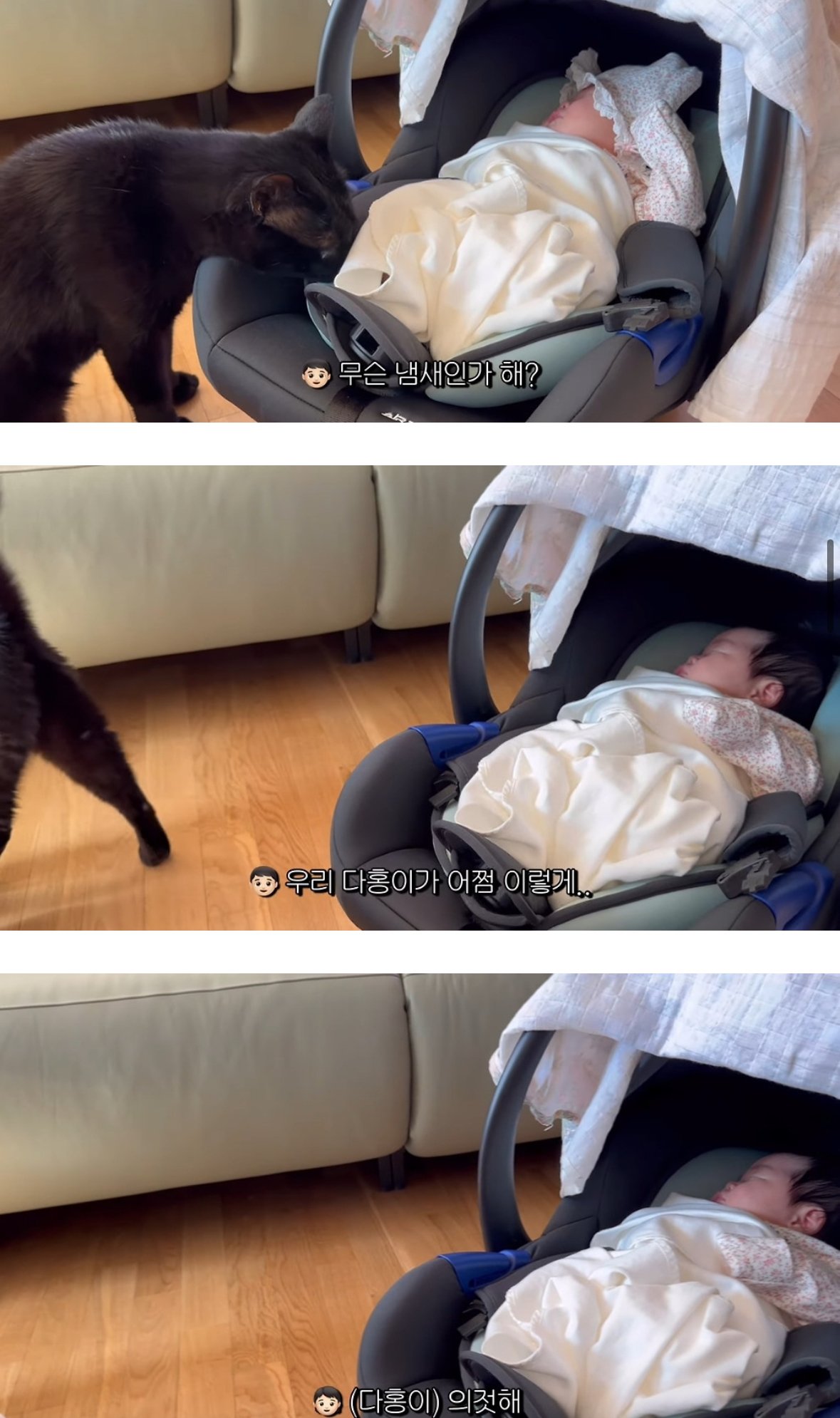 이제 네 식구가 된 박수홍집