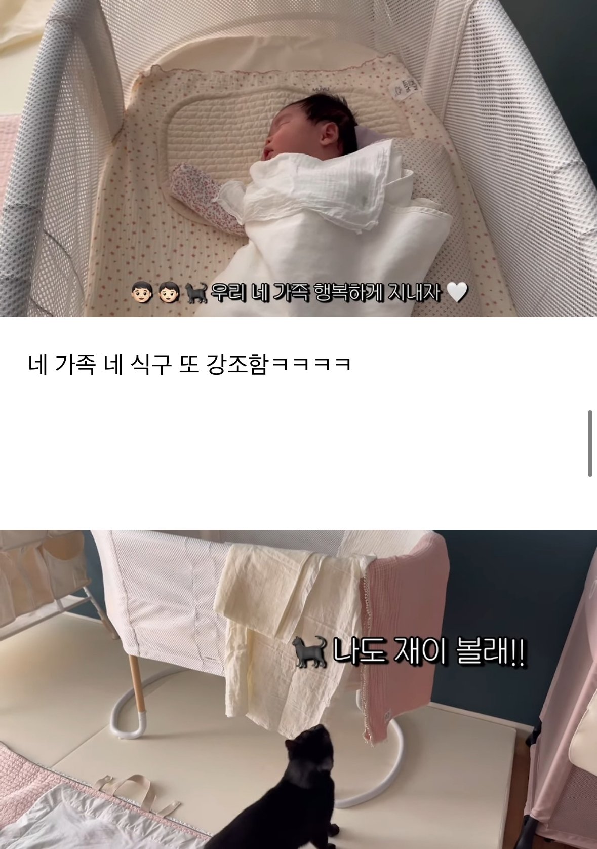 이제 네 식구가 된 박수홍집